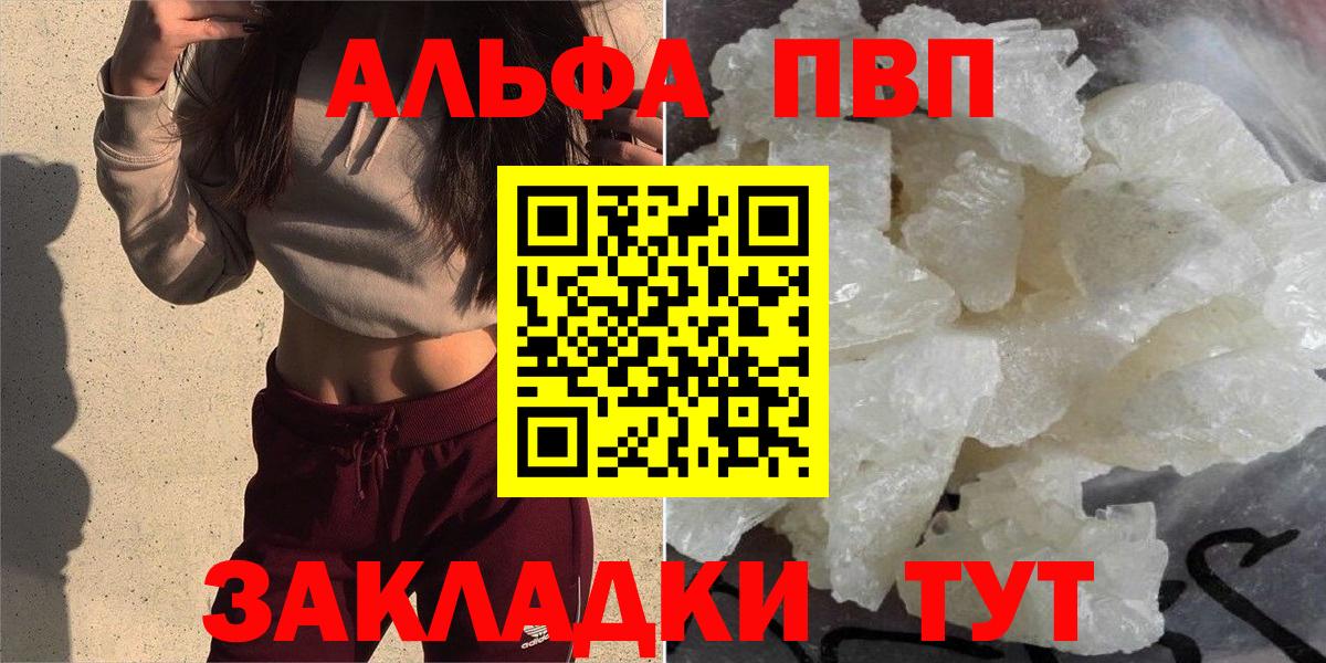 Альфа ПВП СК Магадан