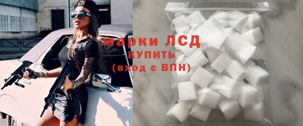 прущие грибы Абинск