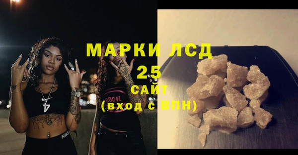 прущие грибы Абинск