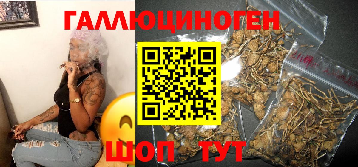 Галлюциногенные грибы GOLDEN TEACHER  Галлюциногенные грибы Cubensis  Вход с VPN  Магадан 