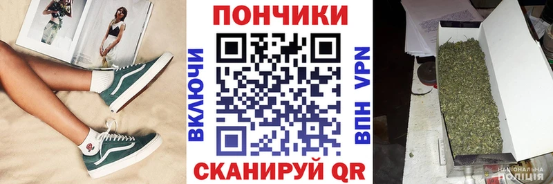 купить закладку  Магадан  Каннабис план 